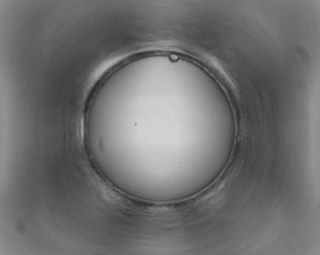 X0000110981320200907022047