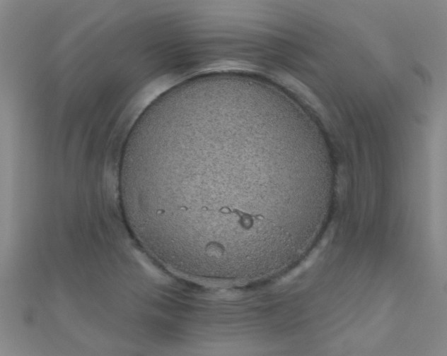 X0000110981321200907022047