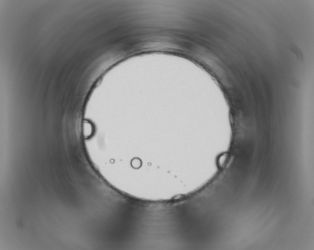 X0000110981322200907022047