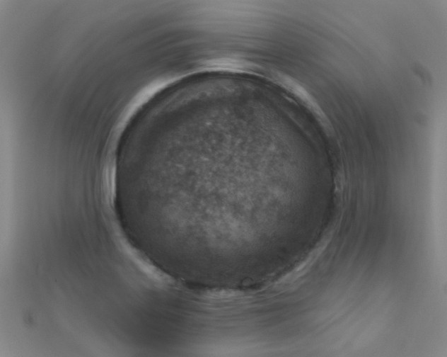 X0000110981323200907022047