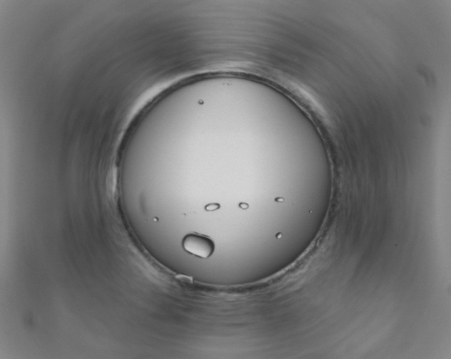 X0000110981324200907022047