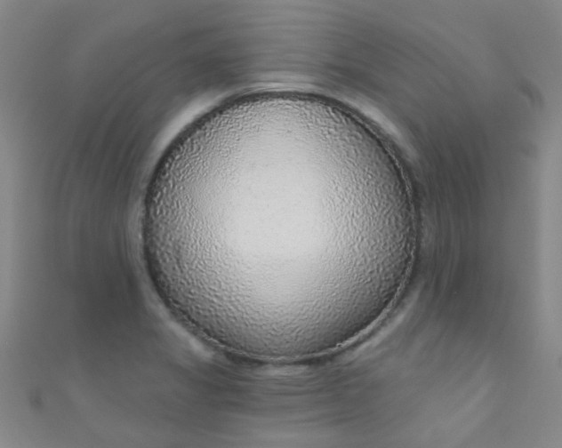 X0000110981325200907022047