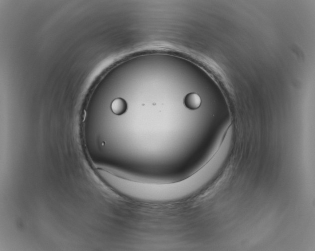 X0000110981326200907022047