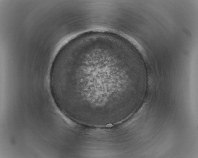 X0000110981327200907022047