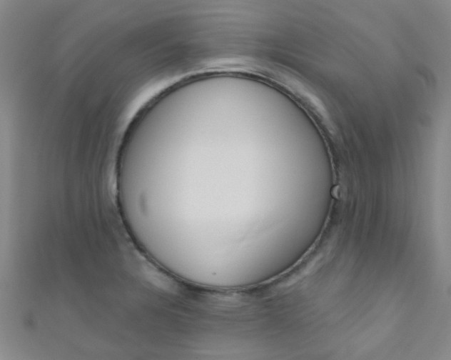 X0000110981328200907022047