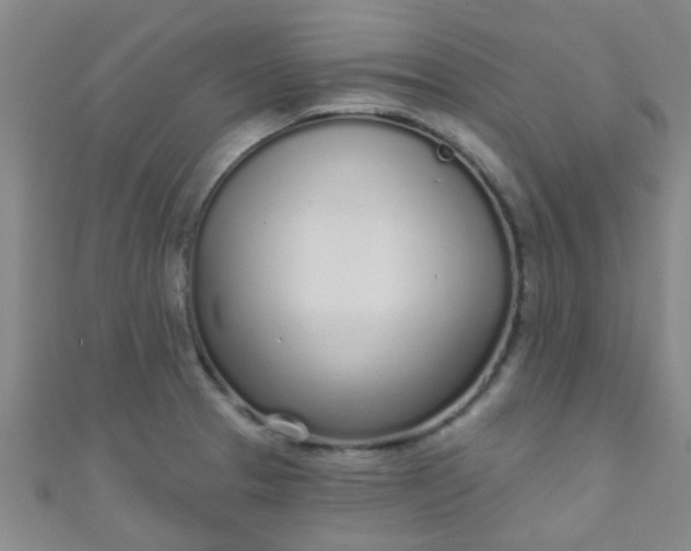 X0000110981329200907022047