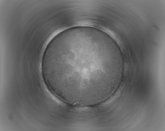 X0000110981331200907022047