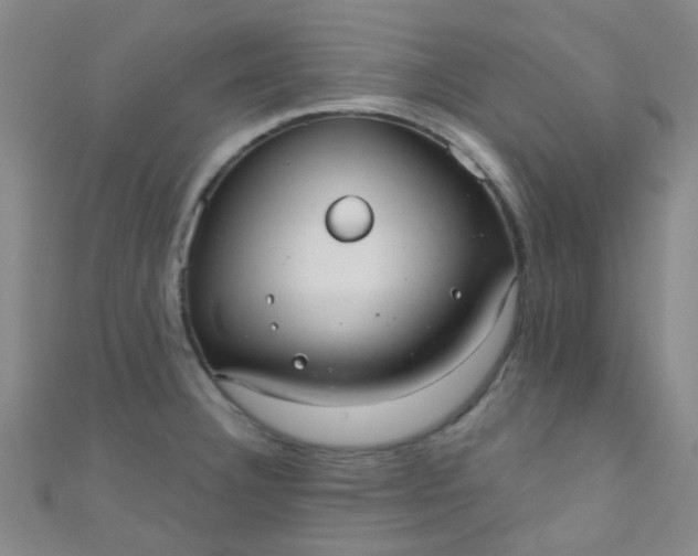 X0000110981332200907022047