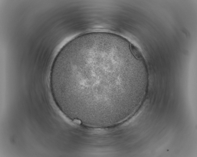 X0000110981333200907022047