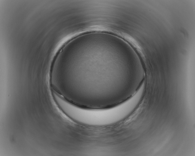 X0000110981334200907022047