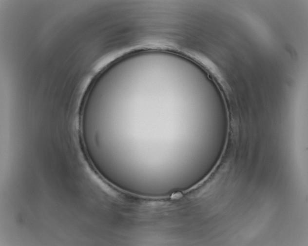 X0000110981335200907022047