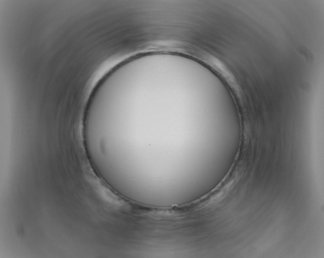 X0000110981336200907022047