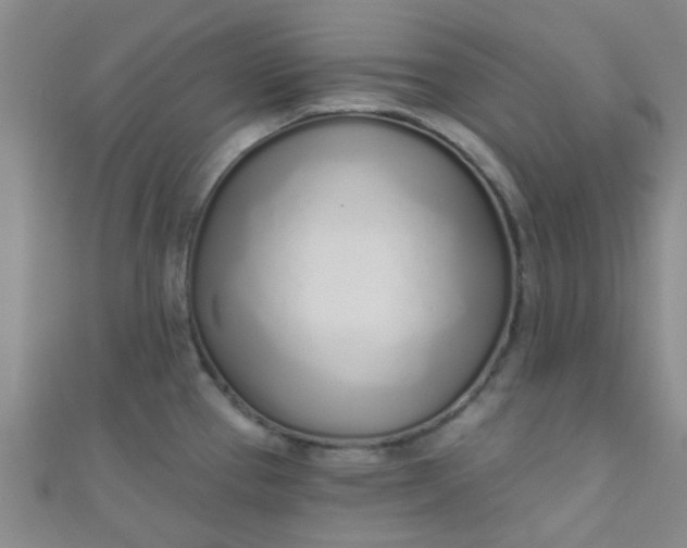 X0000110981337200907022048