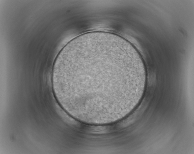 X0000110981338200907022048