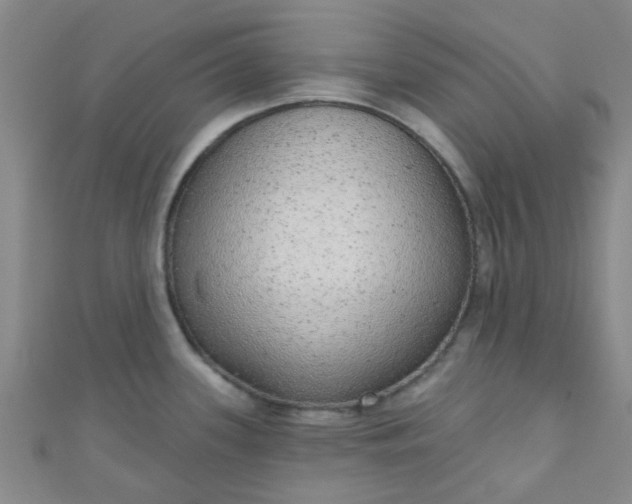 X0000110981339200907022048