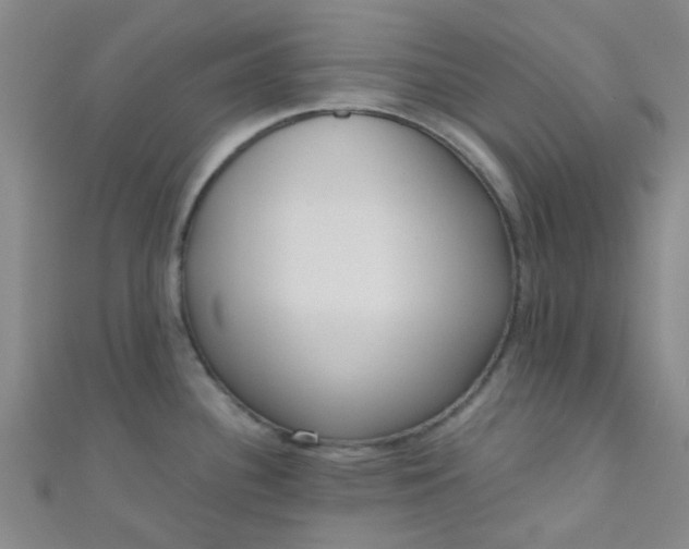 X0000110981340200907022048