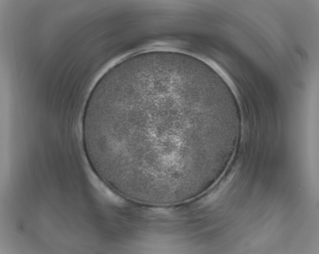 X0000110981341200907022048