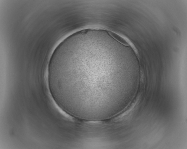 X0000110981343200907022048