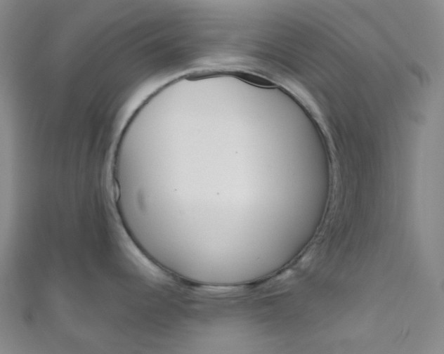 X0000110981344200907022048