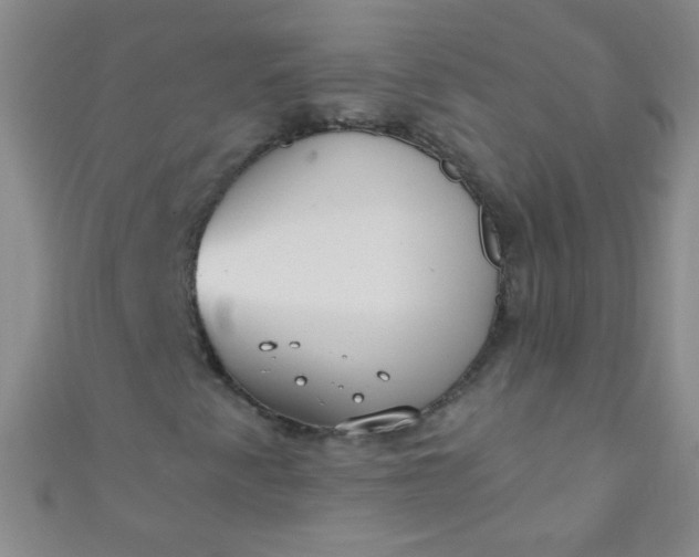 X0000110981345200907022047