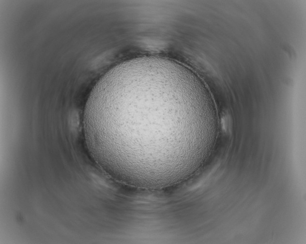 X0000110981347200907022047