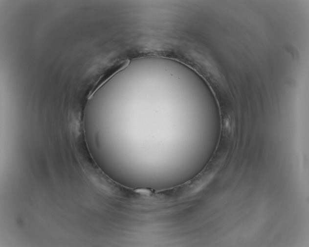 X0000110981348200907022047