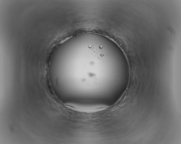 X0000110981349200907022047