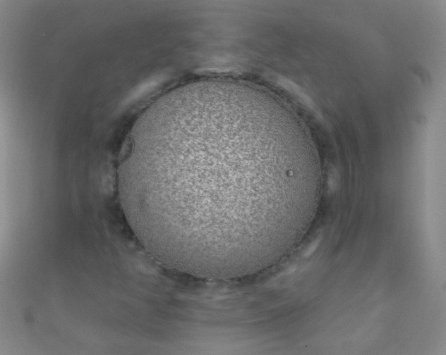 X0000110981350200907022047