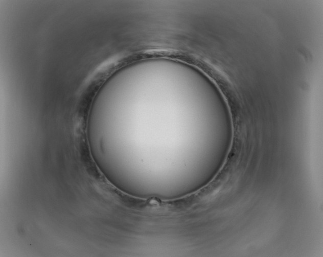 X0000110981351200907022047