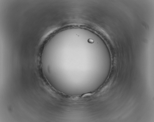 X0000110981352200907022047