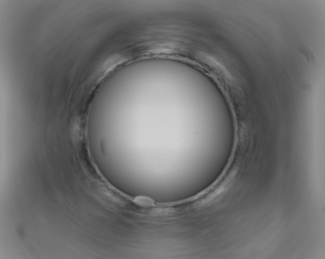 X0000110981353200907022047