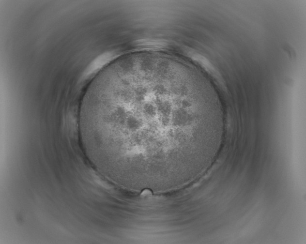 X0000110981354200907022047