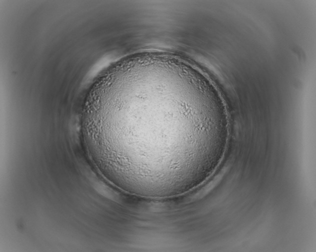 X0000110981355200907022047