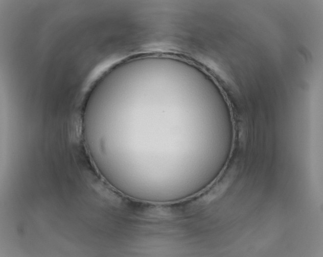 X0000110981358200907022047