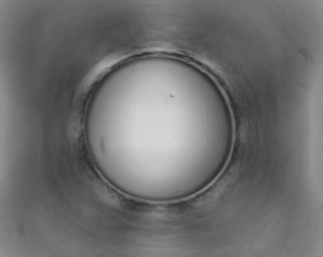 X0000110981359200907022047