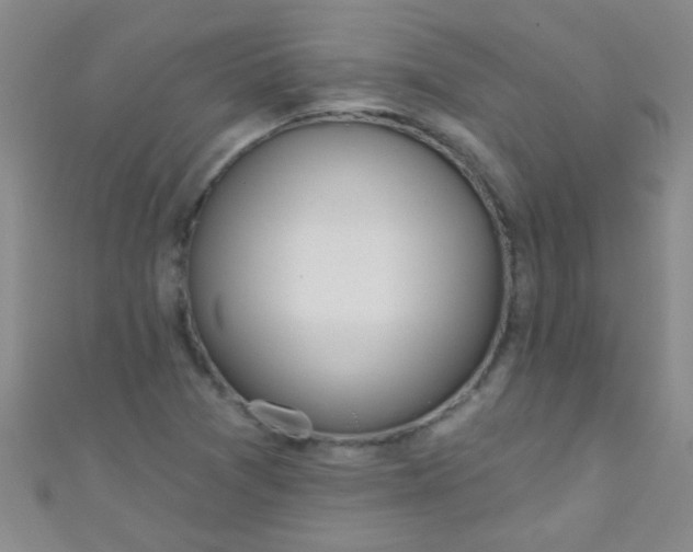 X0000110981361200907022047