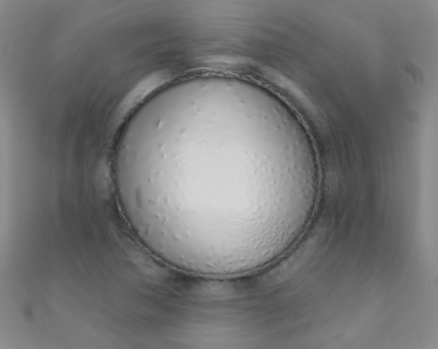 X0000110981362200907022047