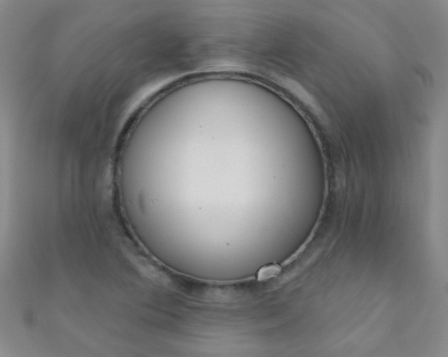 X0000110981364200907022047