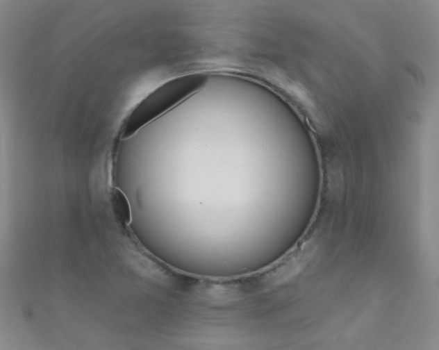 X0000110981365200907022047