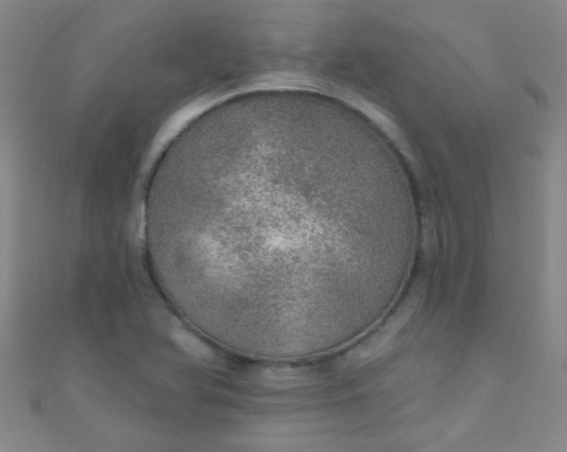 X0000110981366200907022047