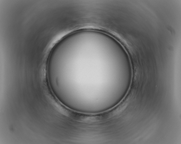 X0000110981367200907022047