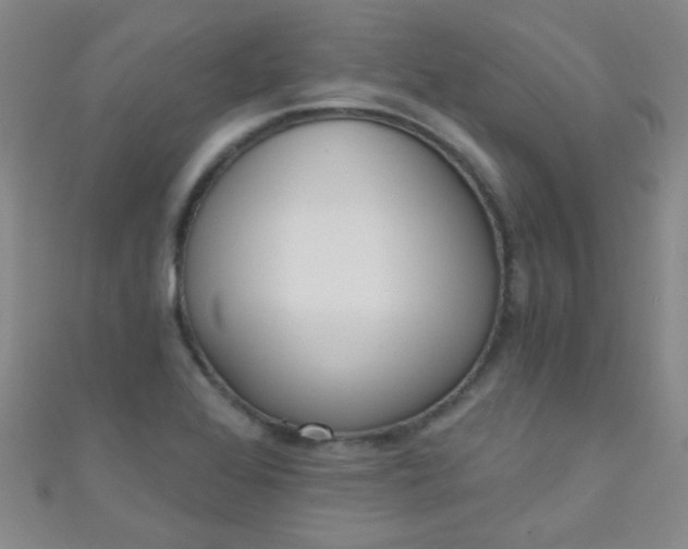 X0000110981368200907022047