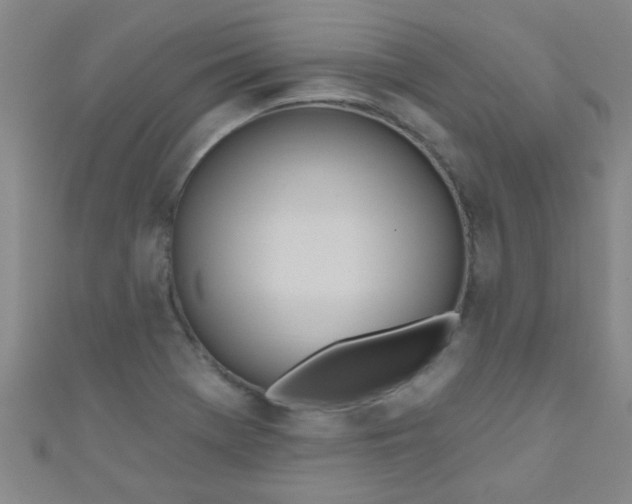 X0000110981369200907022047