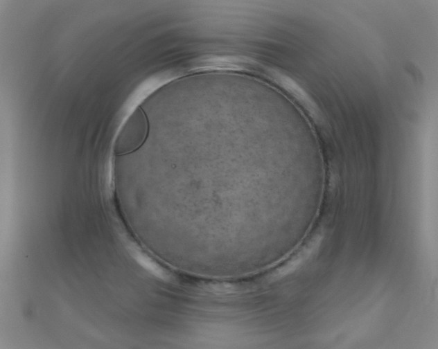 X0000110981370200907022047