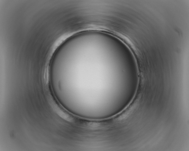 X0000110981371200907022047