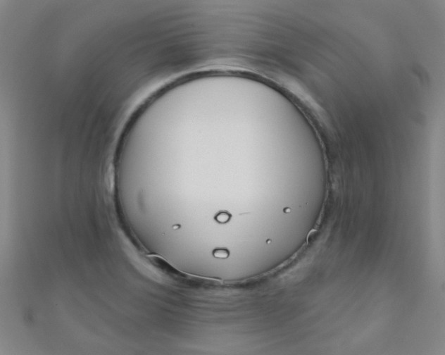 X0000110981372200907022047