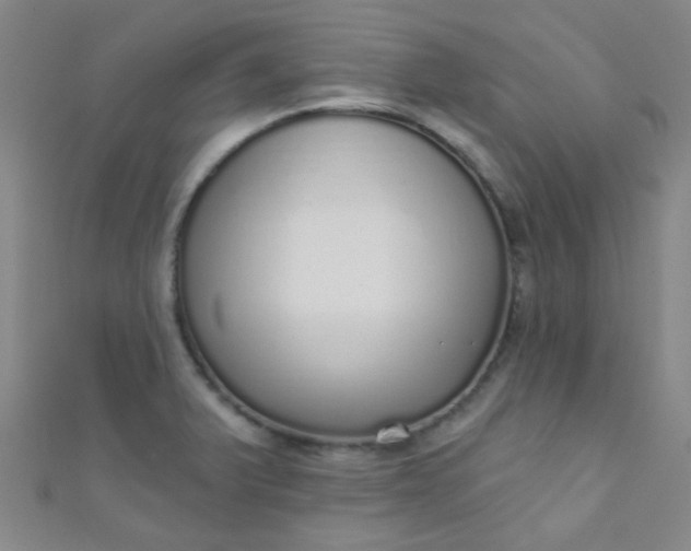 X0000110981375200907022047