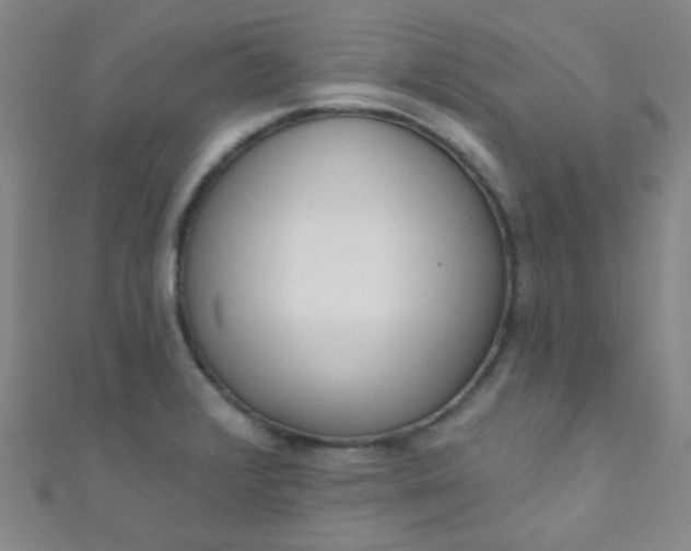 X0000110981376200907022047