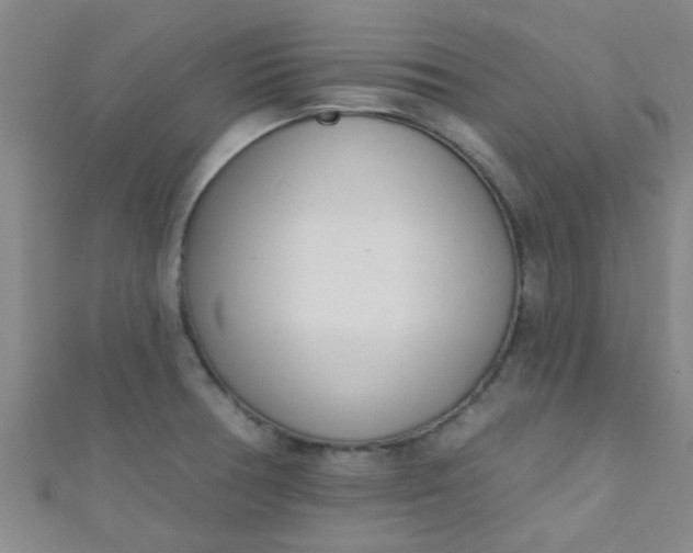 X0000110981378200907022047