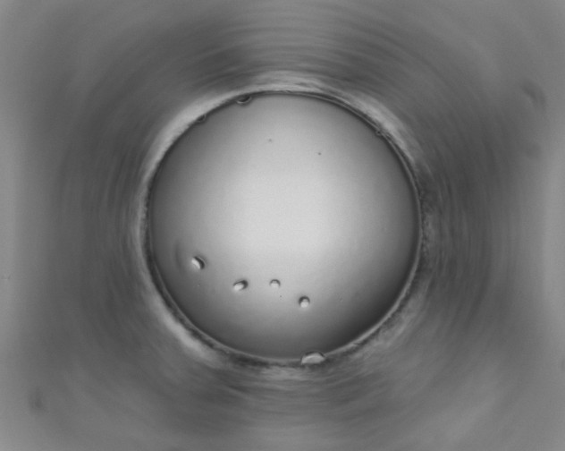 X0000110981379200907022047